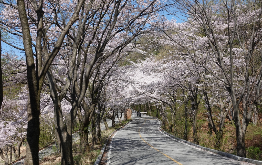DSC03413-2.JPG