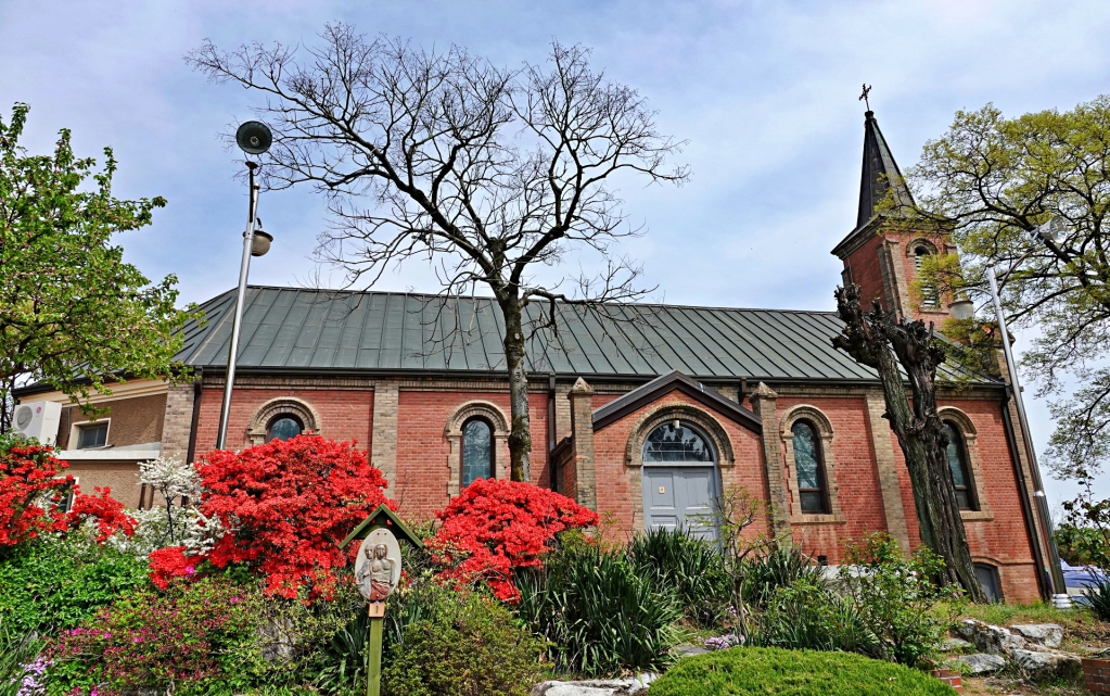 DSC03559-1.JPG