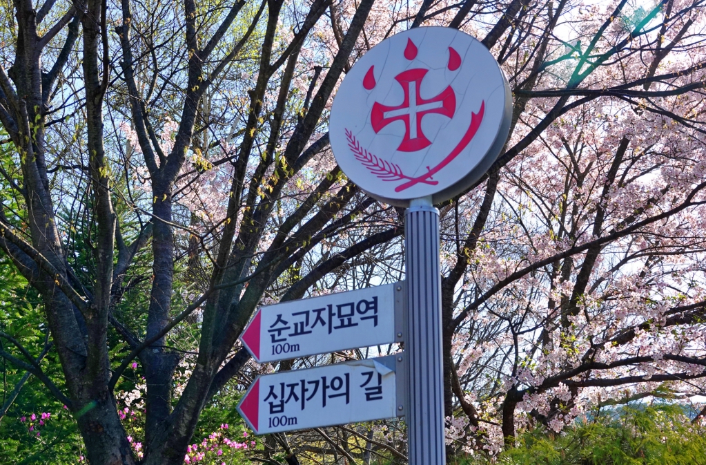 DSC03364-1.JPG
