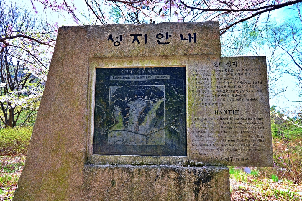 DSC03485-1.JPG