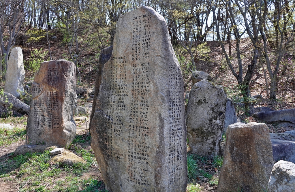 DSC03471-1.JPG