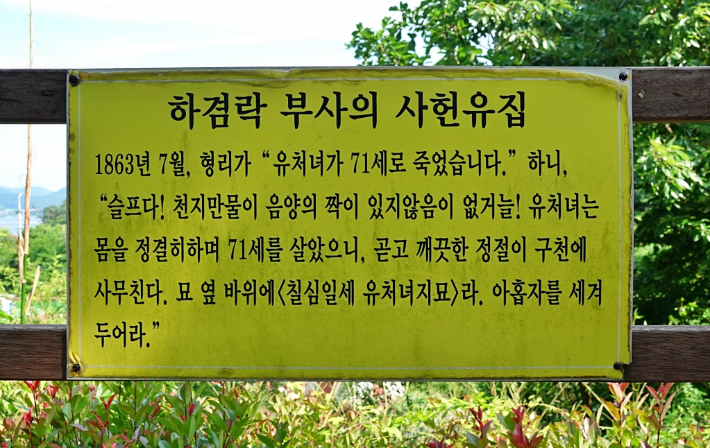 DSC08577-1.JPG