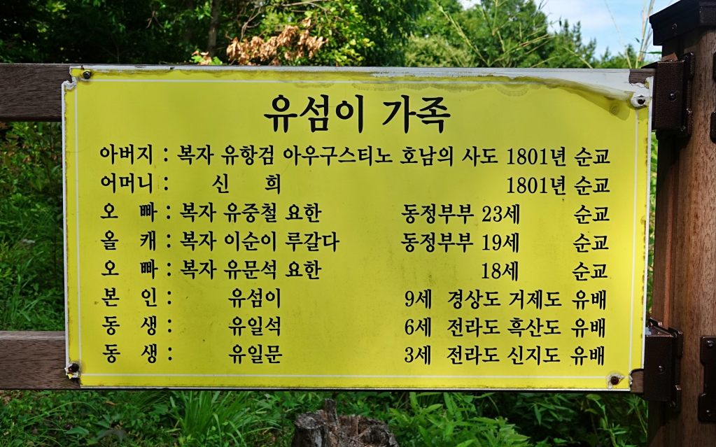 DSC08567-1.JPG