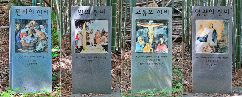 DSC08376-1-side.JPG