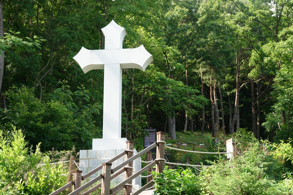 DSC08583-1.JPG