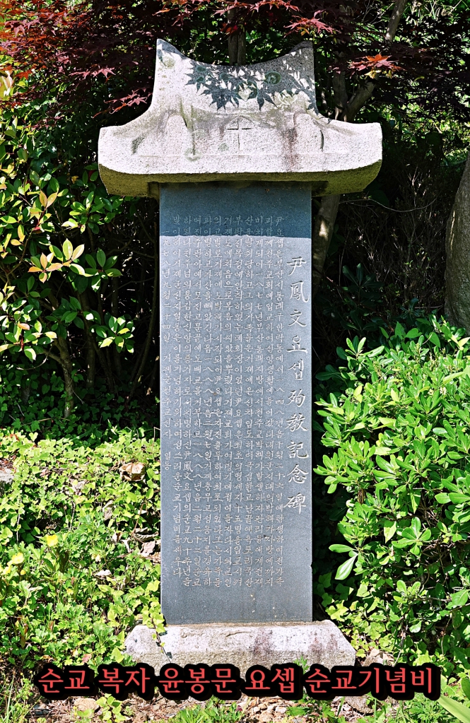DSC08276-1.JPG