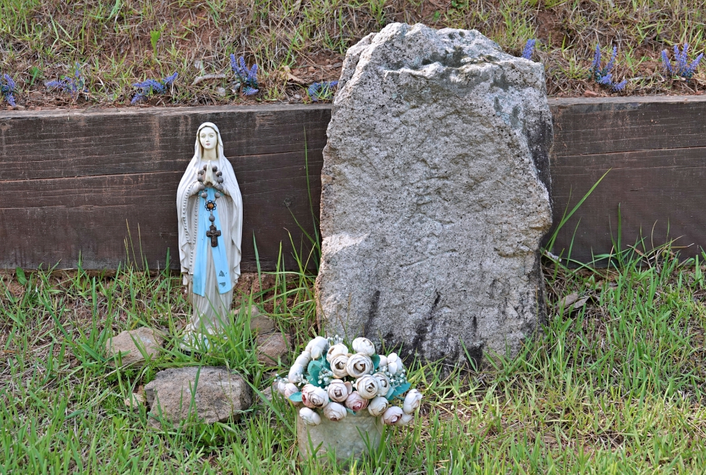 DSC08562-1.JPG