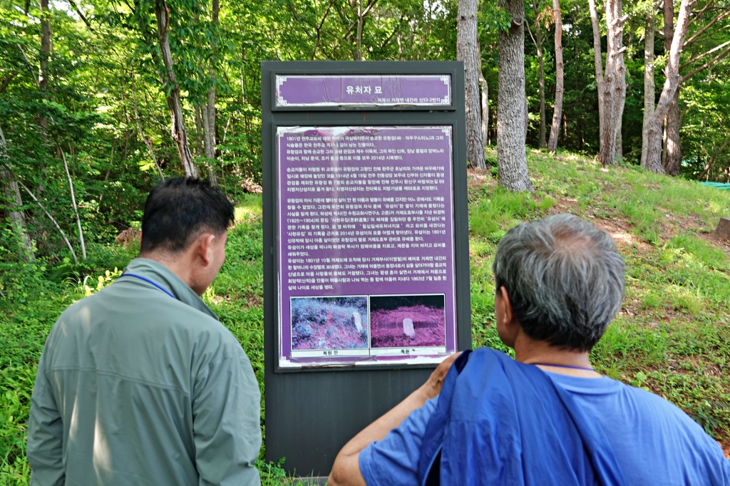 DSC08557-1.JPG