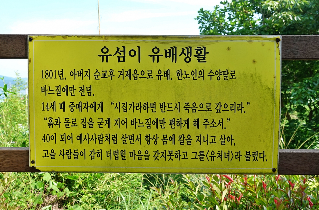 DSC08566-1.JPG