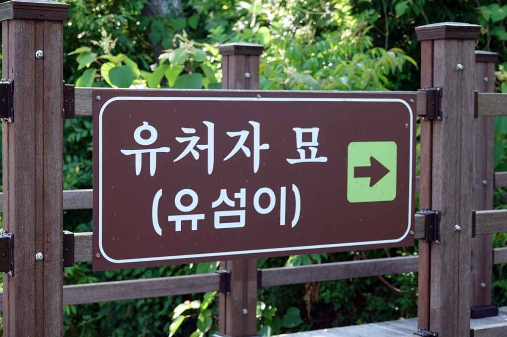 DSC08555-1.JPG