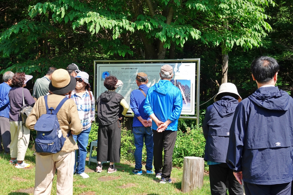 DSC08310-1.JPG