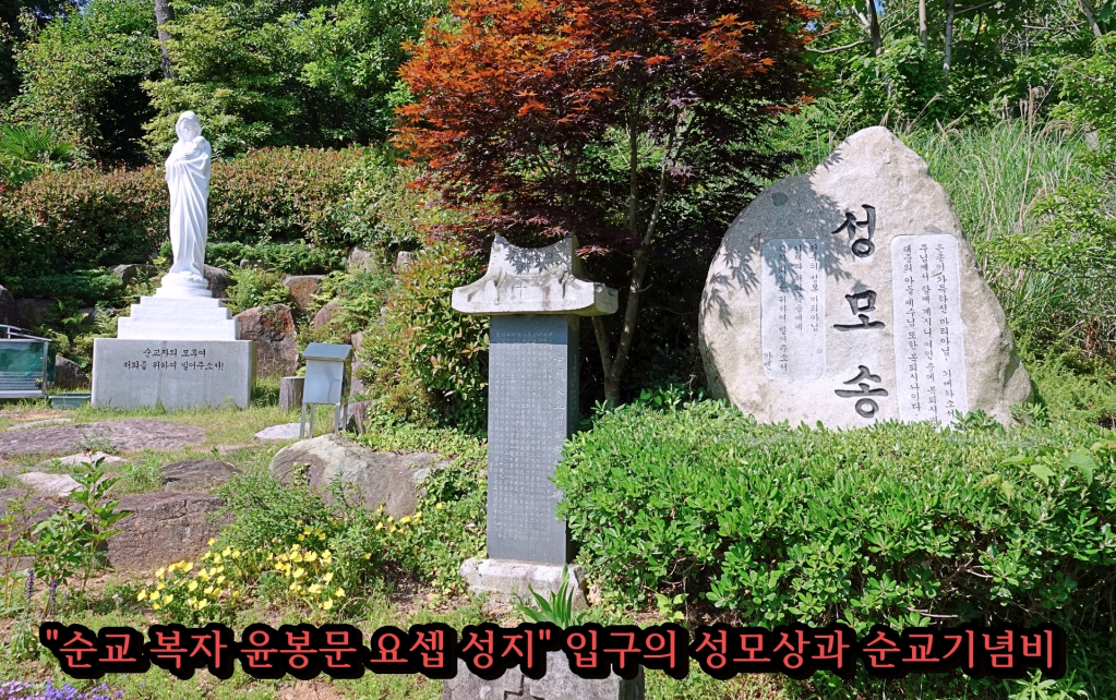DSC08278-2.JPG