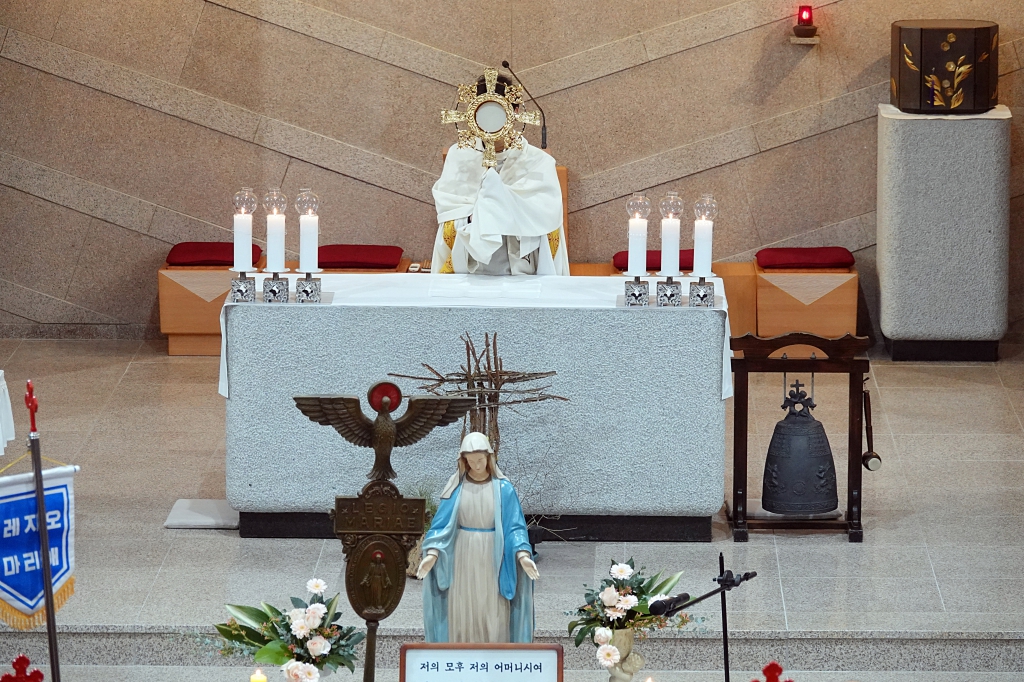 DSC07174-1.JPG
