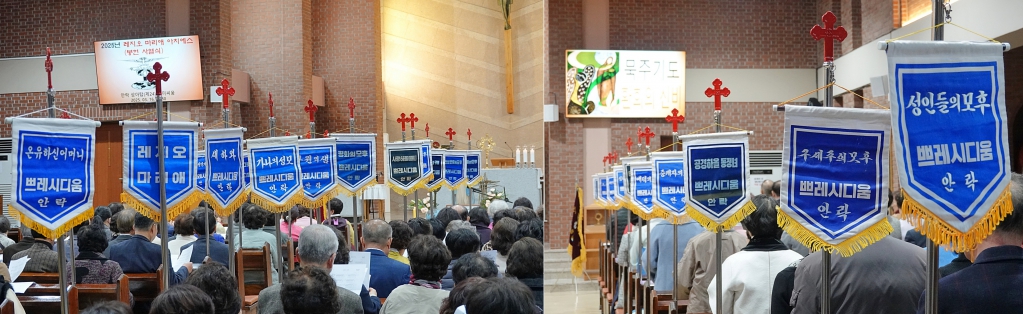 DSC06413-1-side.JPG