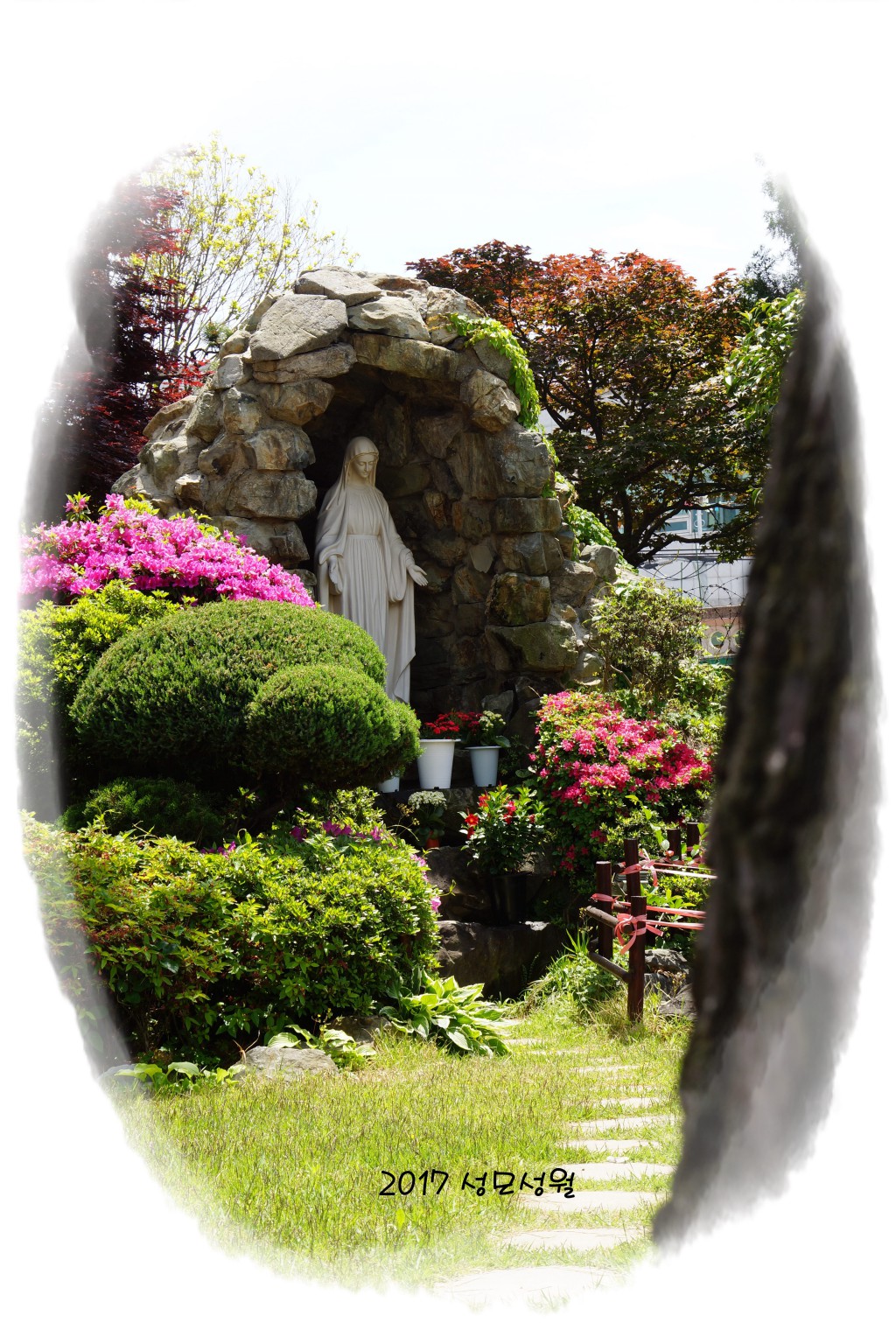 DSC03983(1).JPG