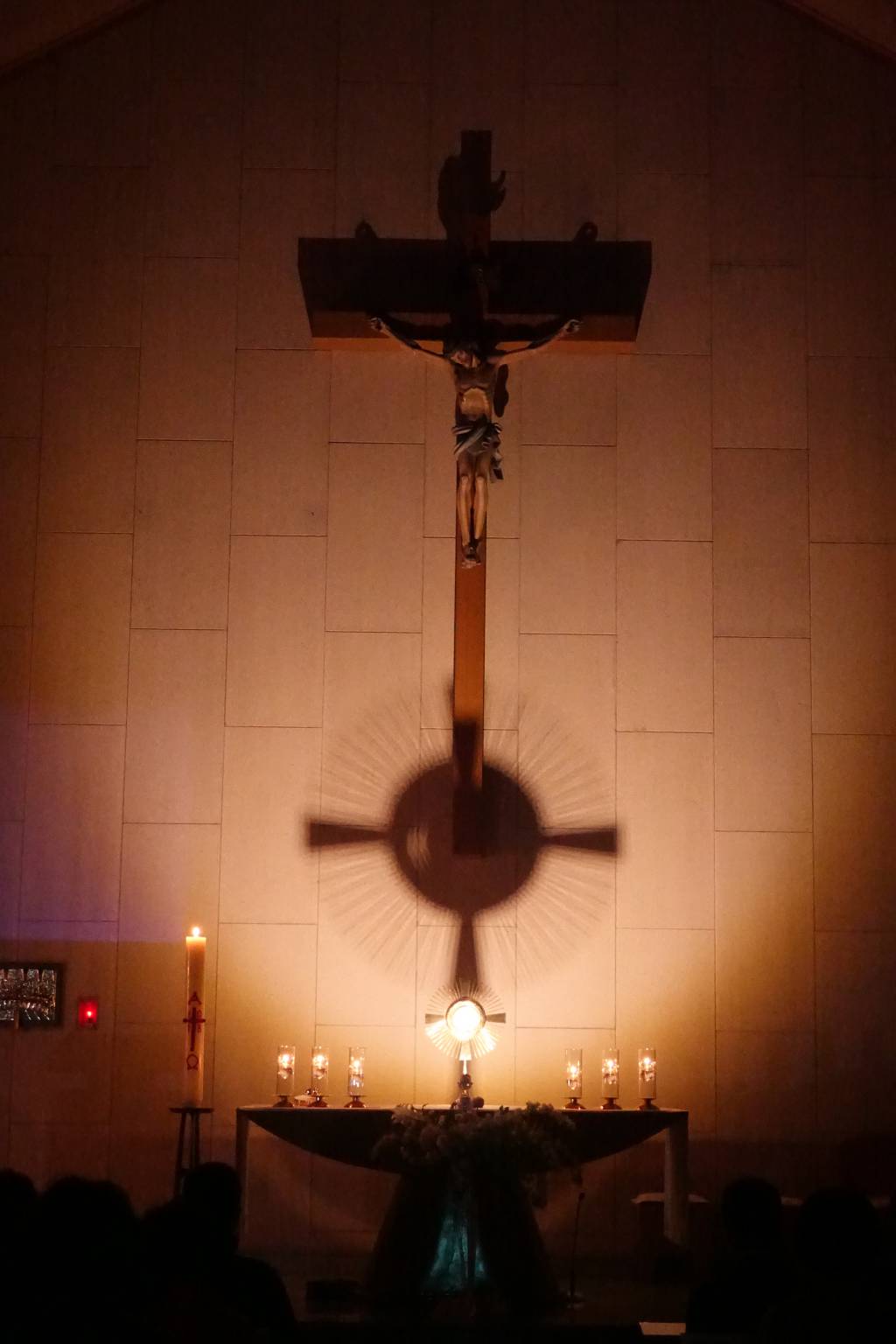 DSC06855 - 복사본.JPG