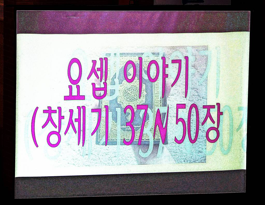 DSC04065 - 복사본.JPG