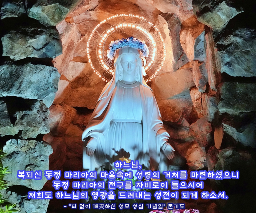 DSC07272-1.JPG