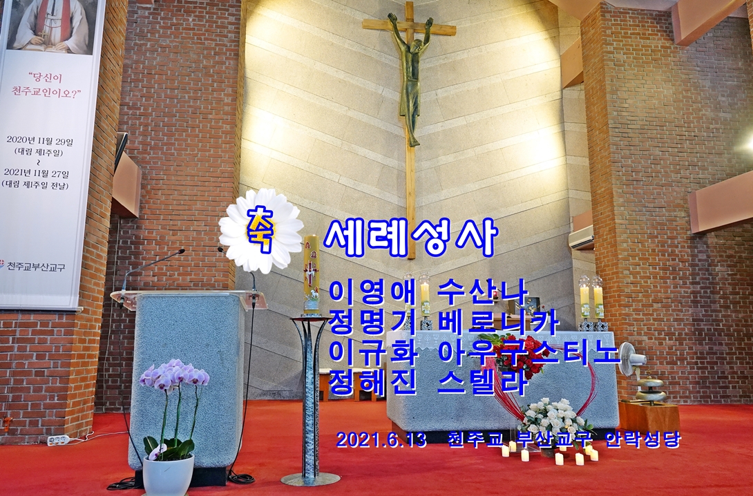 DSC06837 - 복사본.JPG