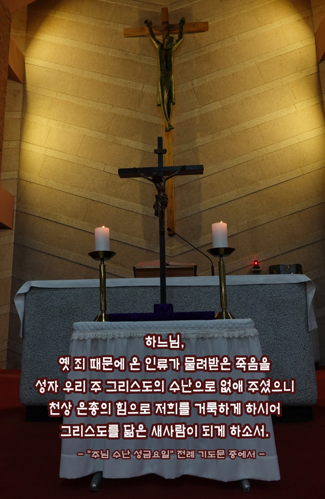 DSC01585-1.JPG