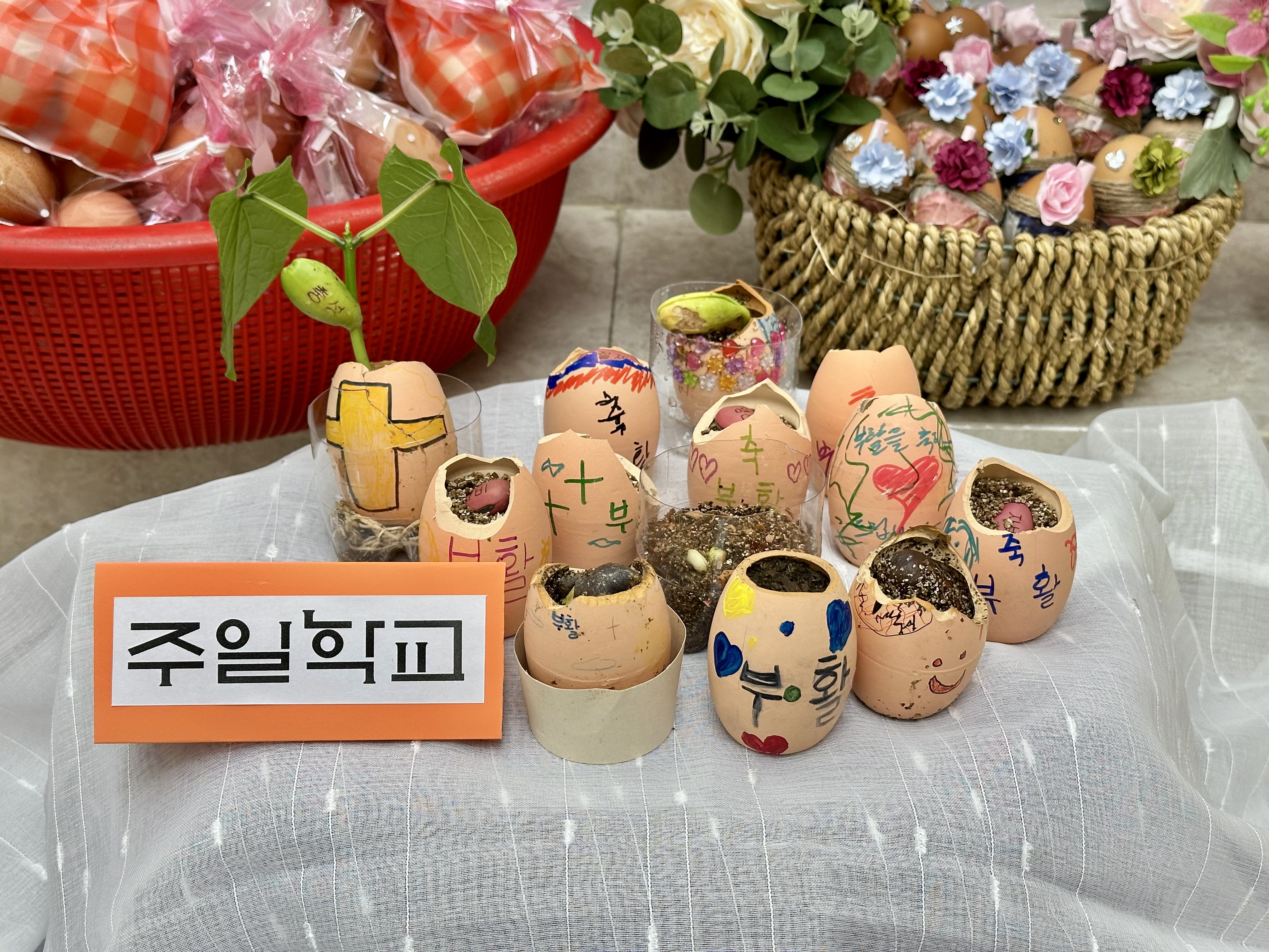 KakaoTalk_20250709_154926132_22.jpg