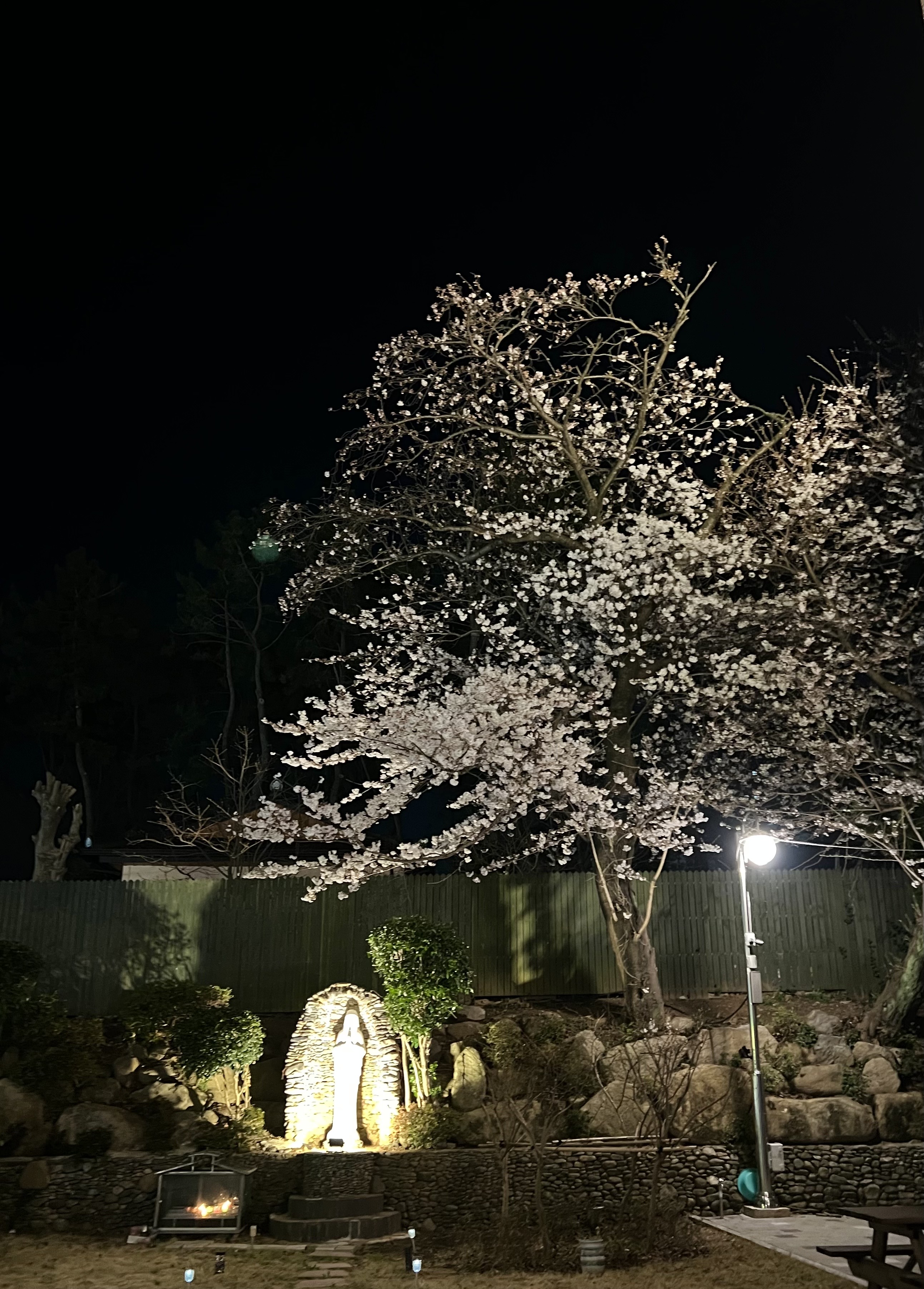 KakaoTalk_20230328_154947790_03.jpg