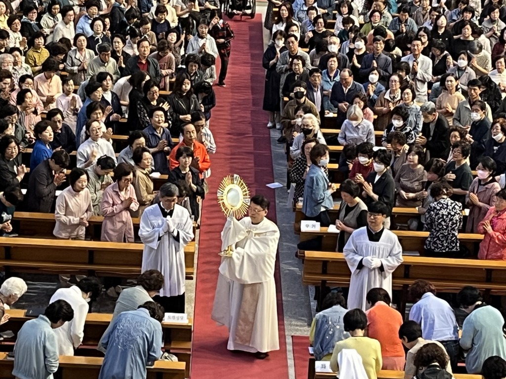 20250602지속적인성체조배회일일대피정007.jpg