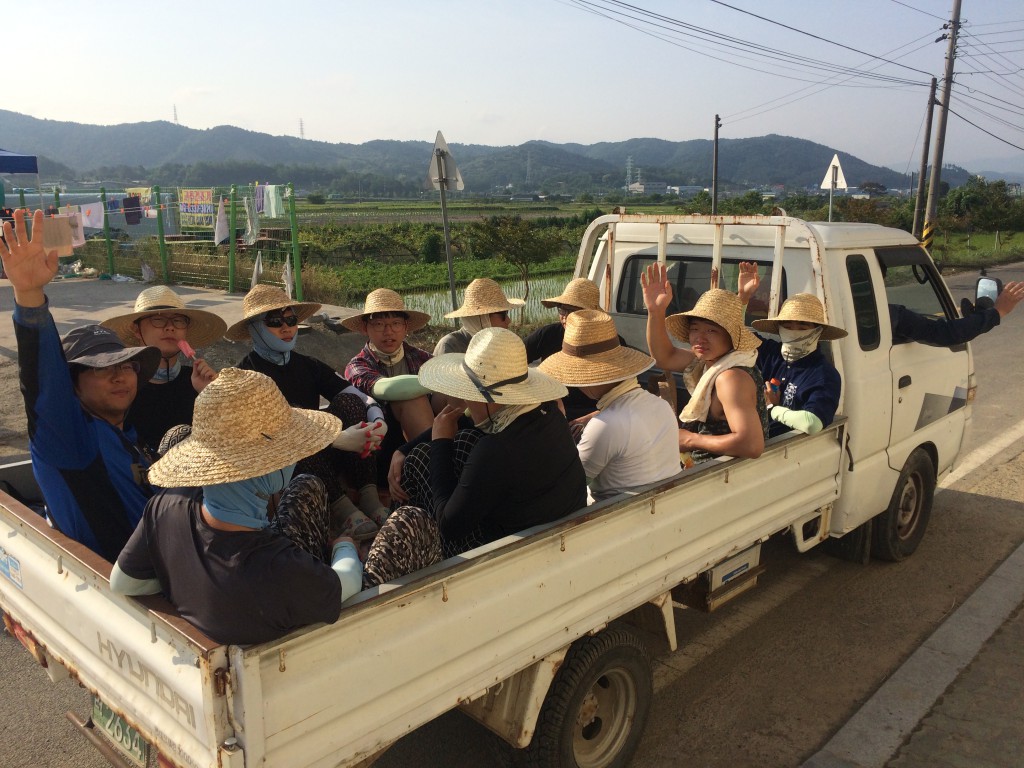 20170612신학생농촌체험학습008.jpg