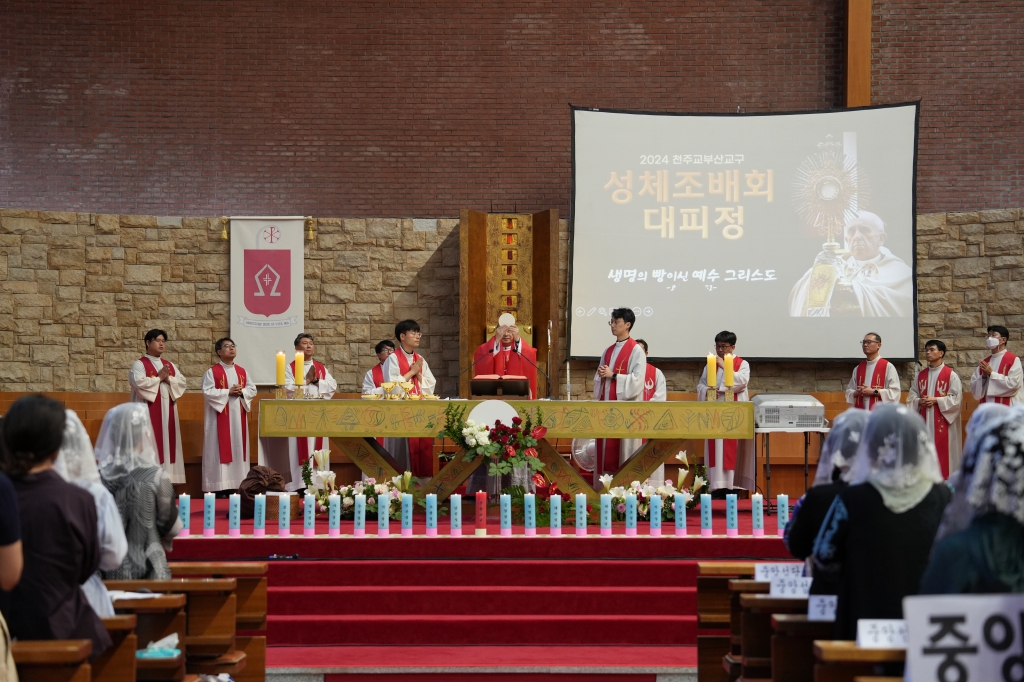 20240603지속적인성체조배회일일대피정231.JPG
