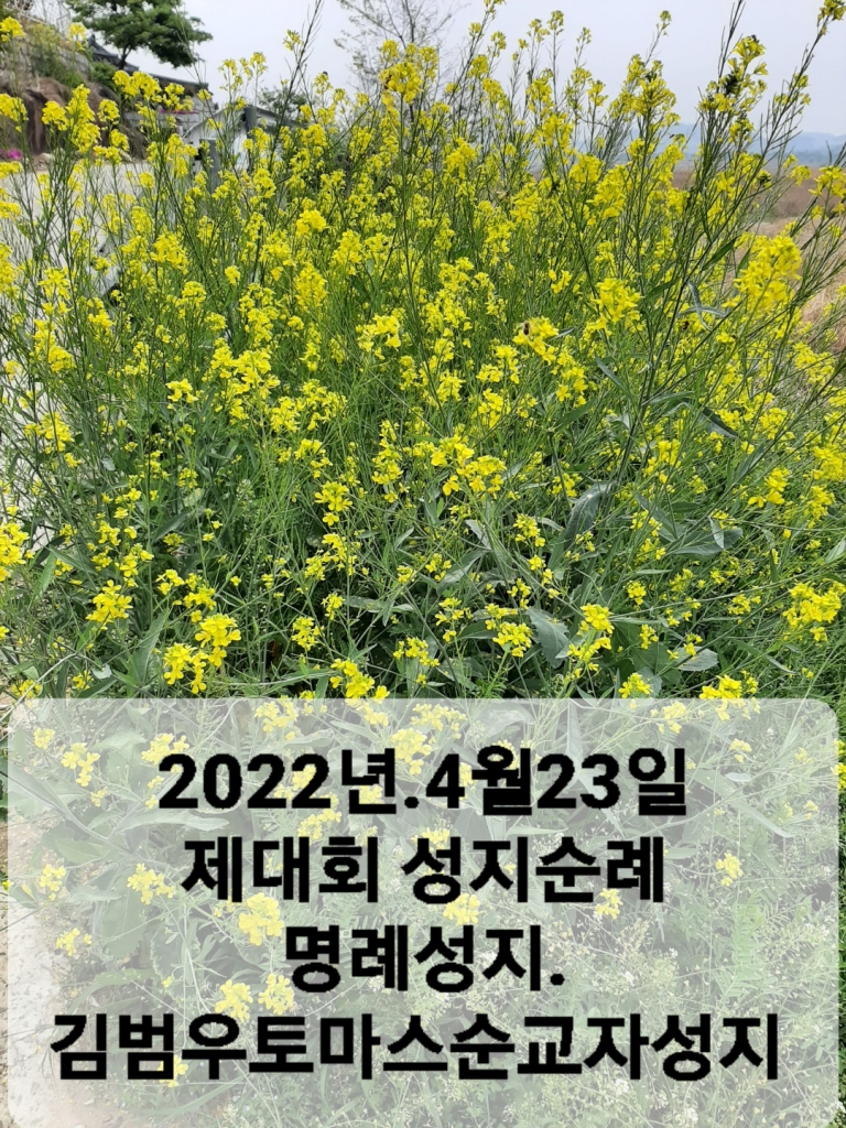 KakaoTalk_20220507_164234542.jpg