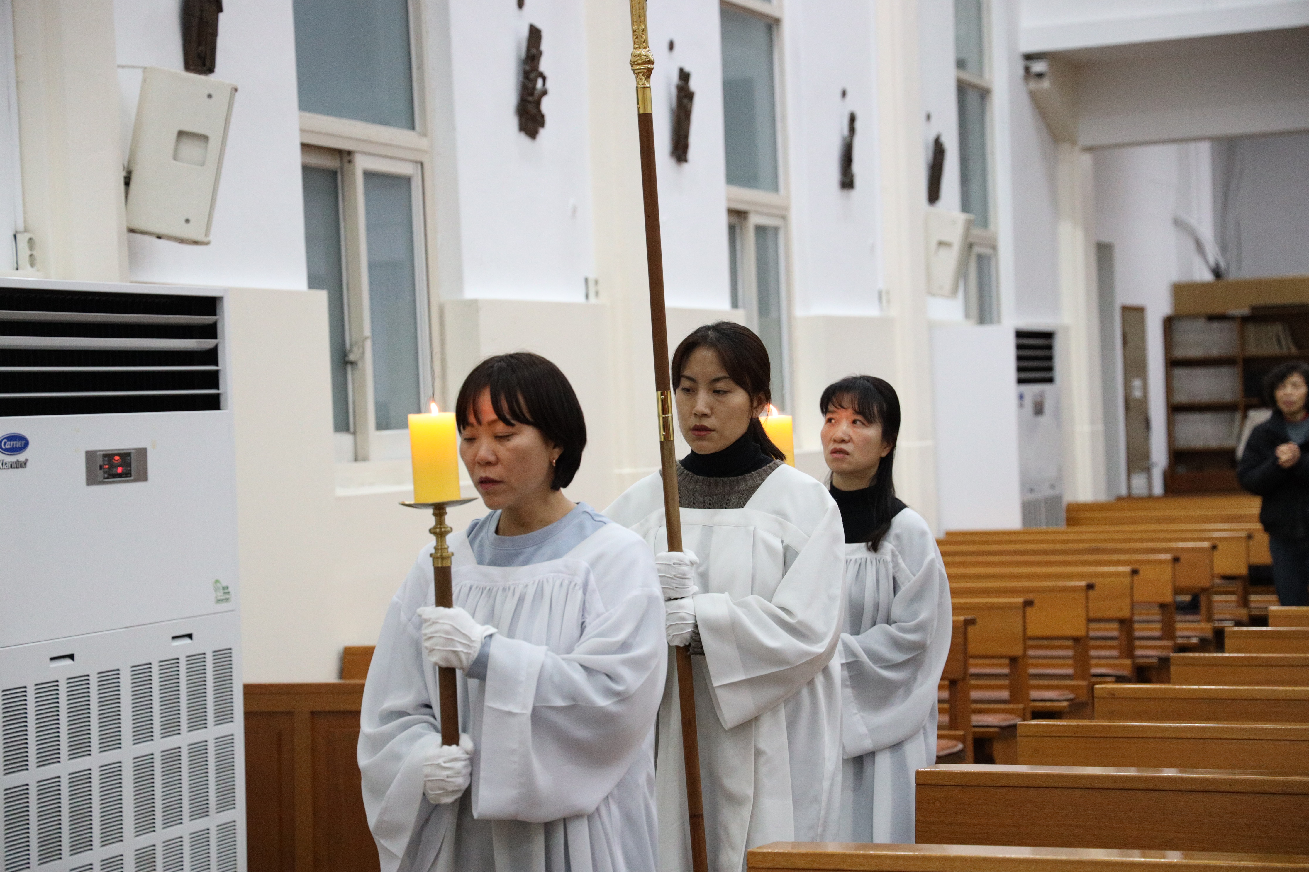 4L7A6469.JPG
