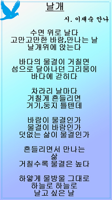 02 날개 선 2.jpg