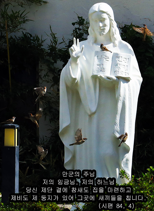 참새 8마리.jpg