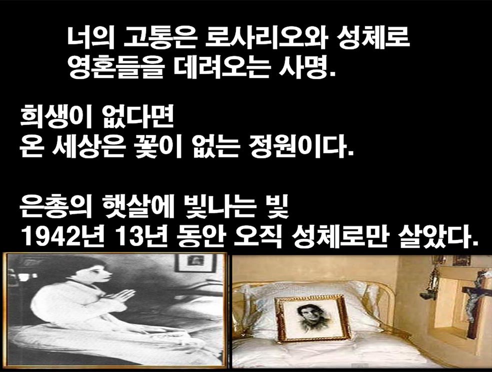 자료3.jpg