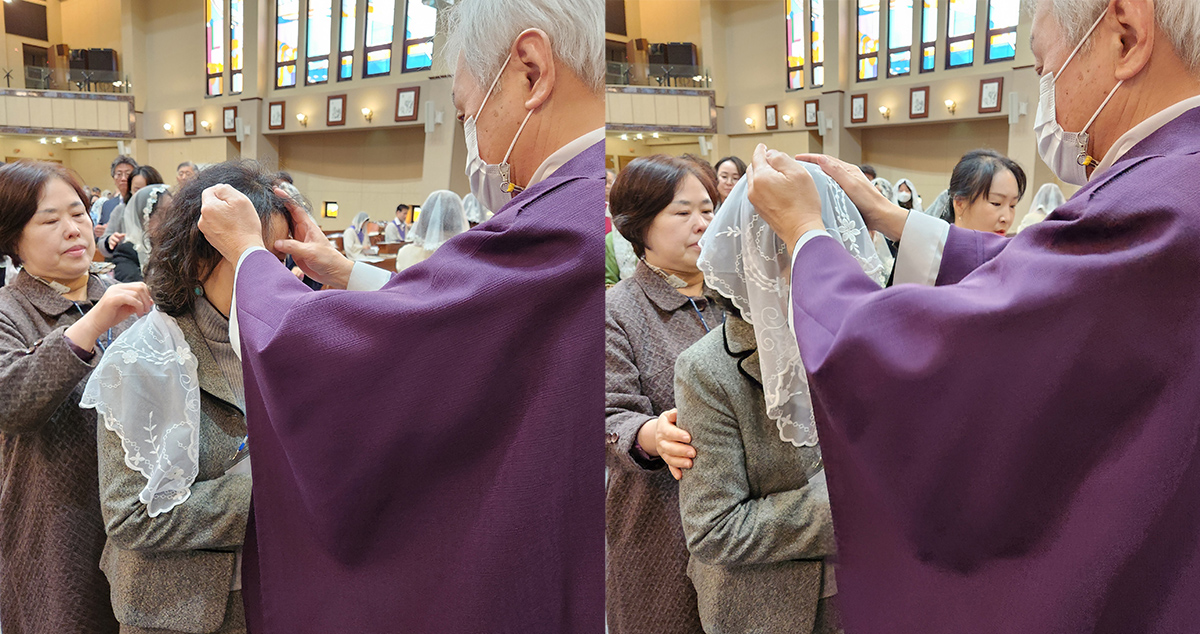 세42.jpg