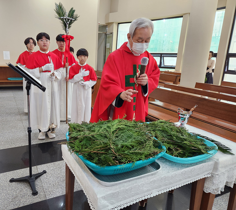 수5.jpg