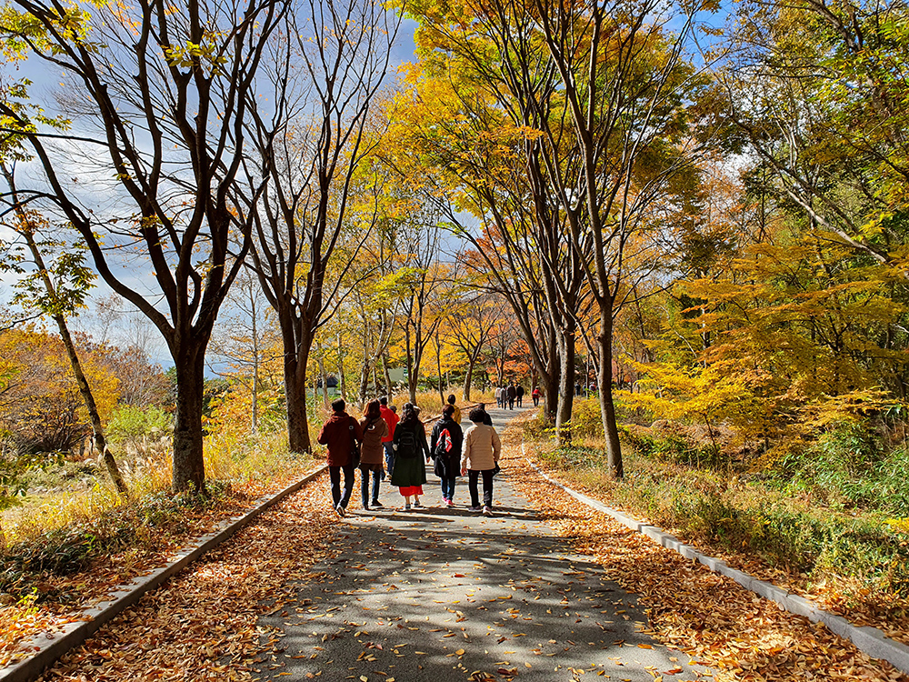 한27-1000.jpg