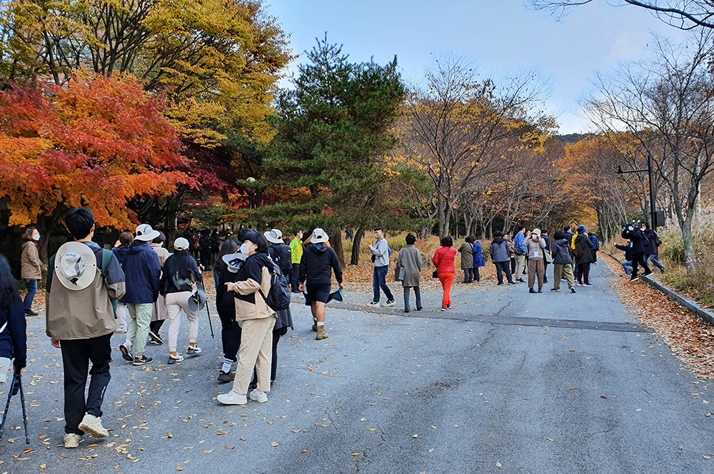 한29-1000.jpg