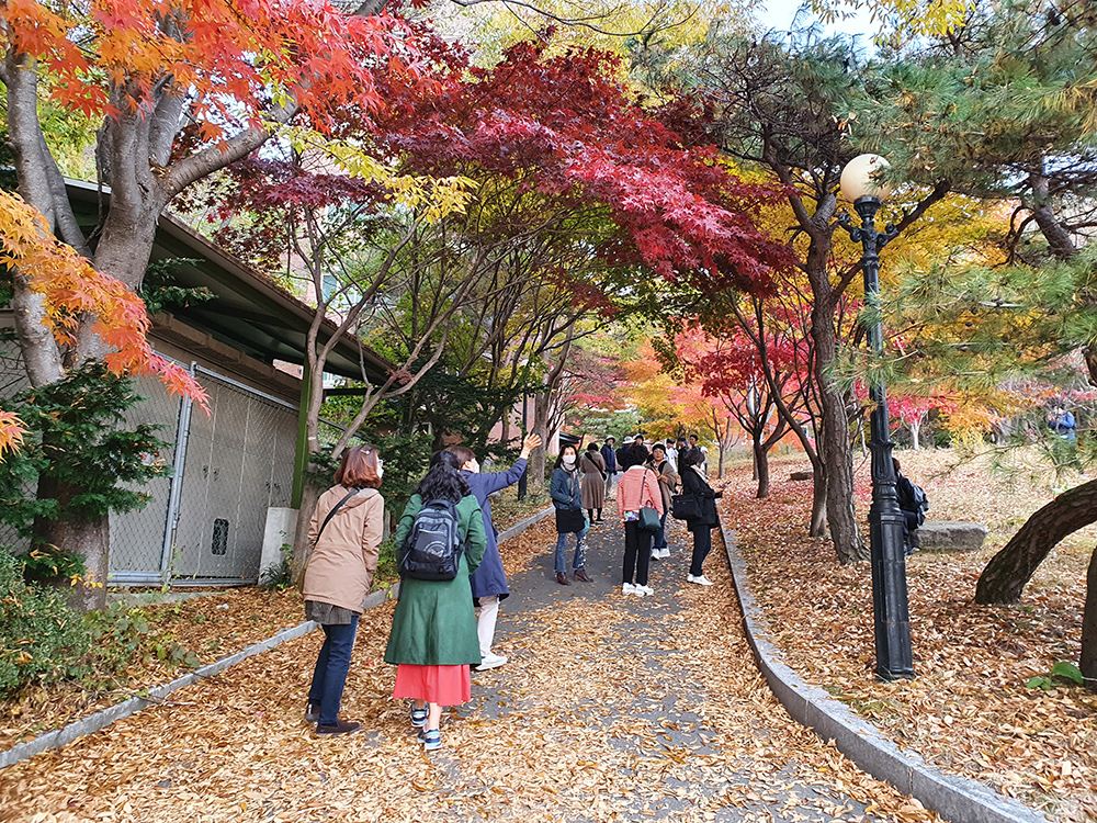 한28-1000.jpg