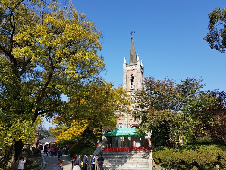 20181021_104054s.jpg