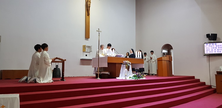 20180329_210043s.jpg