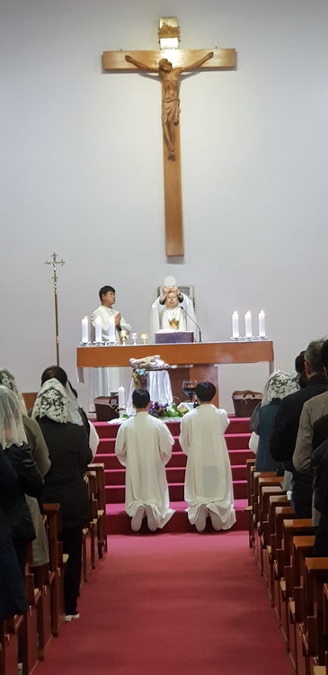 20180329_204957s.jpg