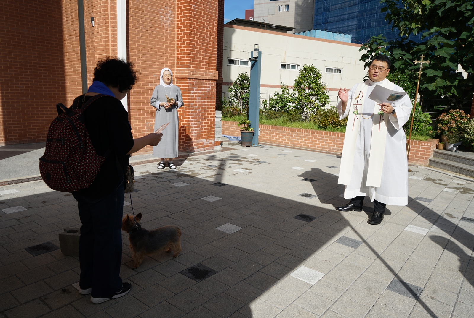 DSC08893.JPG