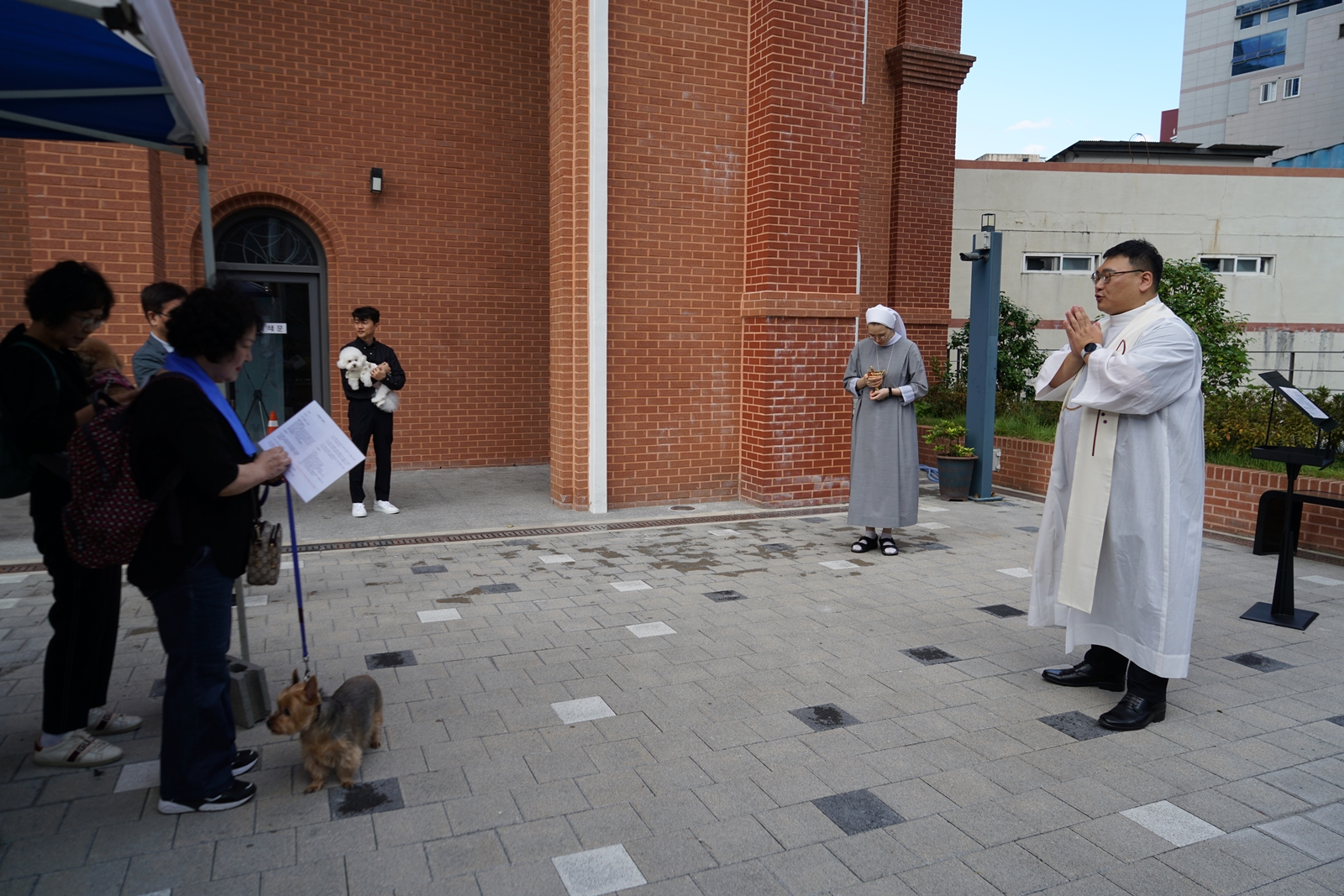DSC08906.JPG