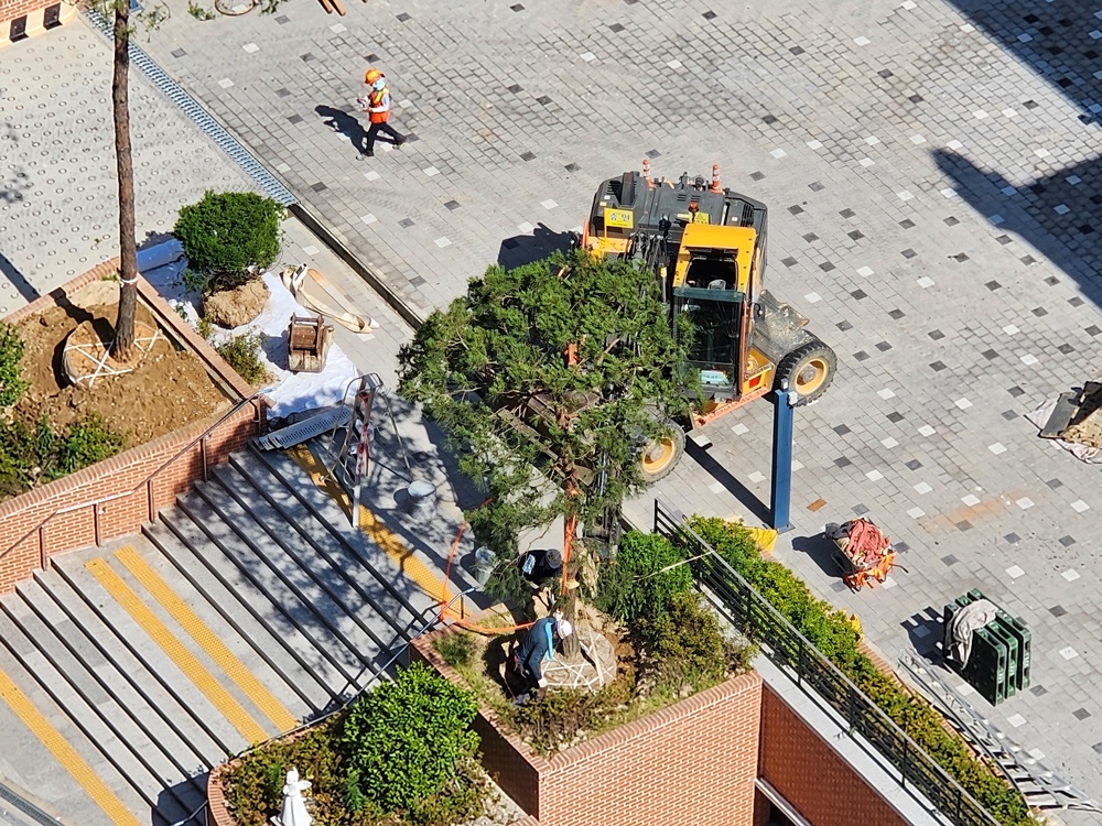 20240618_090554.jpg