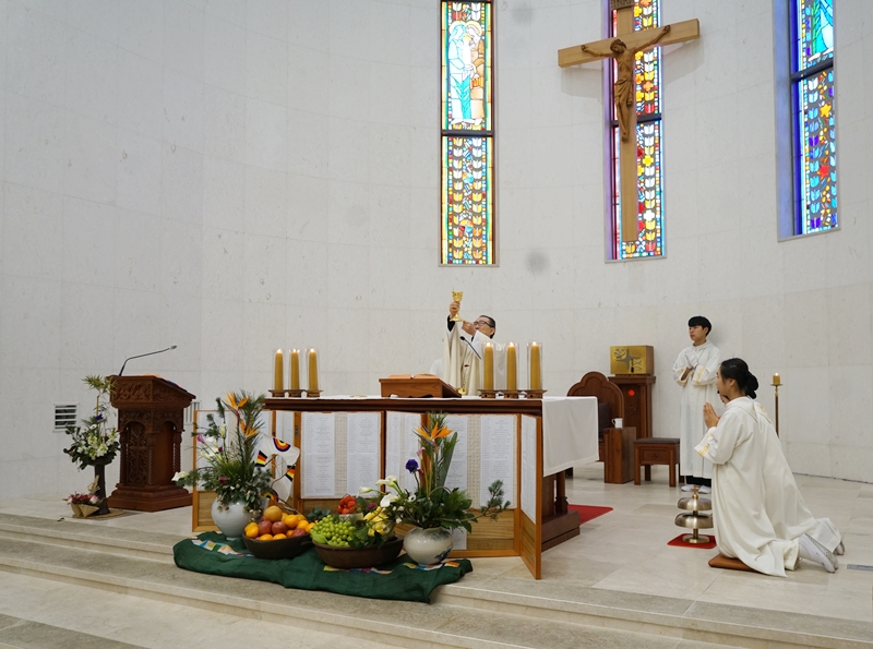 DSC00783.JPG