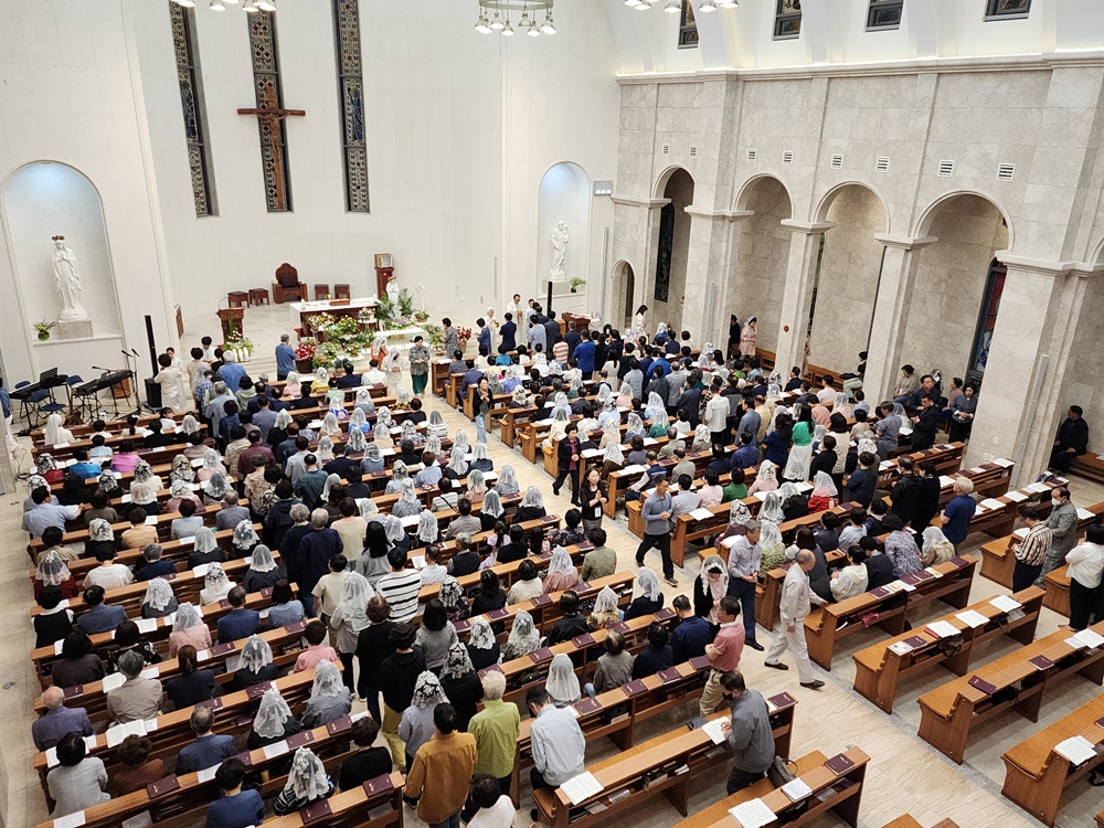 85.jpg
