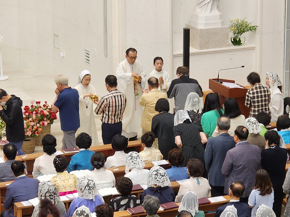 95.jpg