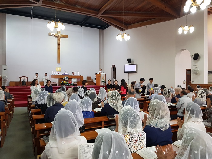 20190616_121102s.jpg