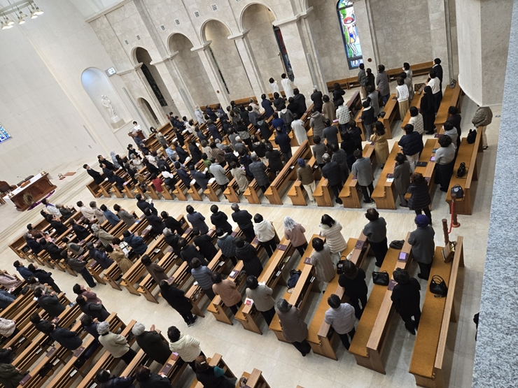 1742125516385-14.jpg